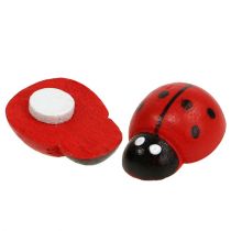 Deco ladybug klijavimui 1,5cm raudona 360p