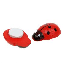 daiktų Dekoratyvinės boružėlės klijuoti 1cm raudona 360 vnt