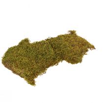 Dekoratyvinės samanos, skirtos šviesiai žalioms natūralioms samanoms konservuoti 150g