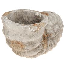 daiktų Dekoratyvinis kriauklių akmens išvaizdos vazonas 22,5x13,5x13,5 cm