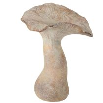 daiktų Dekoratyvinė grybo lieto akmens rudens dekoracija pilka nuplauta 19 × 15 cm aukščio 23 cm