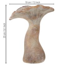 daiktų Dekoratyvinė grybo lieto akmens rudens dekoracija pilka nuplauta 19 × 15 cm aukščio 23 cm
