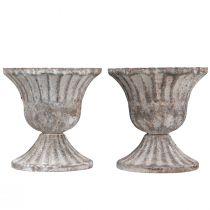 daiktų Dekoratyvinis puodelis Rustic Antique Chalice Pilka Balta Ø8cm A8.5cm 2vnt.