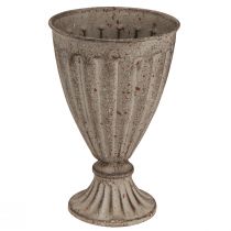 daiktų Dekoratyvinė trofėjinė sodinamoji antikvarinė išvaizda pilkai ruda Ø13cm H19cm