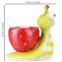 daiktų Dekoratyvinis sraigės formos vazonas braškėms, žalias-raudonas, 15,5 cm