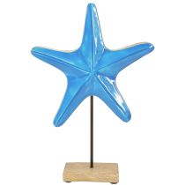 daiktų Dekoratyvinė jūros žvaigždė ant natūralios mėlynos medienos pagrindo Ø22cm H32cm