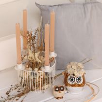 daiktų Dekoratyvinės žvaigždės, kanapių rafija, 7,5 cm, kalėdinės eglutės papuošalai, 8 vnt.