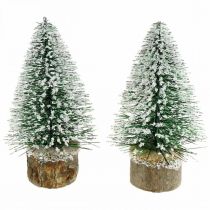 Kalėdinė puošmena, dekoruota eglė, mini eglė žaliai apsnigta H15cm Ø9,5cm 6vnt.