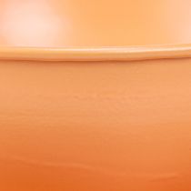 daiktų Dekoratyvinis puodelis Ø16cm H9cm su metaline lėkštute, oranžinis, 2 vnt.