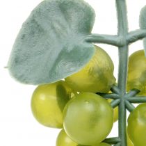 Dekoratyvinės vynuogės mažos žalios 10cm