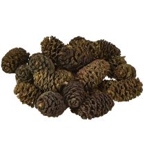 daiktų Dekoratyviniai kankorėžiai iš alksnio natūralūs dekoravimui 3-4 cm 200 g