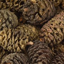 daiktų Dekoratyviniai kankorėžiai iš alksnio natūralūs dekoravimui 3-4 cm 200 g