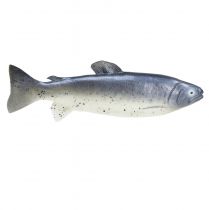 daiktų Dekoratyvinė žuvies maisto manekenė dirbtinė žuvis 31cm