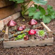 Deco grybai stiklinė raudona rudens puošmena stalo puošmena Ø6.5cm H10cm 3vnt