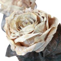 daiktų Dekoratyvinės rožės kreminės baltos Dirbtinės rožės Šilkinės gėlės Antikvarinis išvaizda L65 cm 3 vnt.