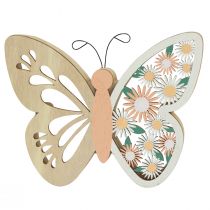 daiktų Dekoratyvinės drugelio medžio gėlės 15x12cm natūralios/spalvingos 3vnt
