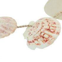 daiktų Dekoratyvinė pakaba jūrinio kriauklių apdaila natūralus Ø5-10cm 70cm