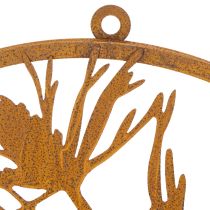 daiktų Dekoratyvinis metalinis žiedas, sendinto plieno sienų dekoracija, pušies šaka, Ø38cm