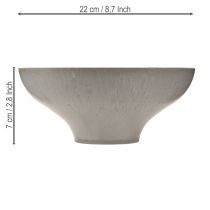 daiktų Dekoratyvinis dubuo su pagrindu, apvalus augalų dubuo, pilkas, Ø19cm, aukštis8cm