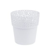 daiktų Dekoratyvinis vazonas plastikinis baltas Ø13cm H13,5cm 1 vnt