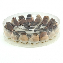 daiktų Dekoratyviniai paukšteliai 9cm ant vielos 16 vnt