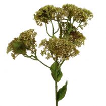 Dekoratyvinė šakelė sedum augalo žalia 58cm