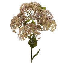 daiktų Dekoratyvinė šakelė sedum šviesiai rožinė 58cm