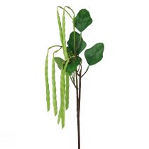 daiktų Dekoratyvinė šakelė pupelės šakelė dirbtinis augalas žalias 68cm