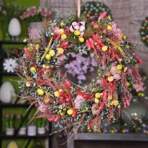 Eukalipto šakelė Dirbtinis žalias augalas Eucalyptus Deco 75cm