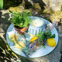 Deco Branch Mediterranean Deco Lemons Dirbtiniai 30cm