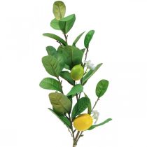 Dekoratyvinė citrinos šakelė su gėlėmis ir vaisiais H68cm