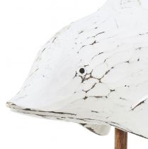 daiktų Delfinų puošmena Albasia Jūrinė medinė dekoracija balta 28×6,5×26cm