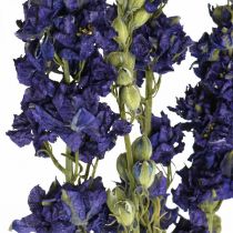 daiktų Džiovintas delfinis, sausas floristika, delphinium blue L64cm 25g