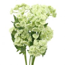 daiktų Krapai dirbtiniai balti 49cm 6 vnt