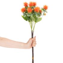 daiktų Dirbtinis oranžinis dygminas kaip dirbtinė gėlė vazoms ir dekoravimui, 55 cm, 4 vnt.