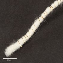 daiktų Vilnonė virvelė, balta, su auksiniais siūlais, 5 m x 5 mm, su viela dekoravimui ir rankdarbiams