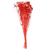 daiktų Dekoratyvinė skėtinių gėlių puokštė vestuvėms ir renginiams