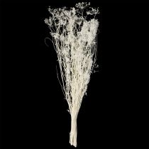 daiktų Skėtiniai džiovinti žiedai (Umbellifera) balti 70-80cm 150g