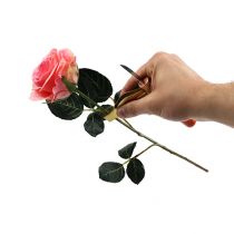 Rožių spyglių valiklis su peiliu