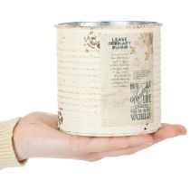 daiktų Skardinis vazonas kreminės spalvos metalinis „Shabby Chic“ Ø11 cm, aukštis 10,5 cm
