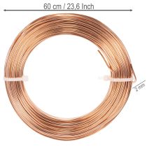 daiktų Aliuminio vielos ritinėlis rankdarbiams ir floristikai, 60 m, 500 g