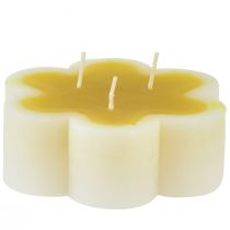 Trijų dagčių žvakė dekoratyvinė gėlių žvakė geltona balta Ø11,5cm H4cm