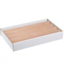 daiktų Vienspalvės žvakės stalo žvakės abrikosas 34x240mm 4 vnt