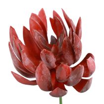 Sultingi Echeveria dirbtiniai žali augalai raudoni Ø12cm 19,5cm