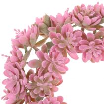 Echeveria vainikas rožinis Ø18cm 4vnt