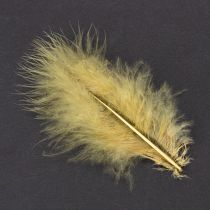 daiktų Tikros plunksnos rankdarbiams, šviesiai geltonos spalvos, 5–10 cm, 20 g