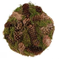 daiktų Tikrų kūgių dekoratyvinis rutulys su samanų natūralia puošyba Ø25cm H25cm