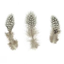 daiktų Tikros perlinių vištų plunksnos dekoratyvinės plunksnos natūralios 4-12cm 100vnt