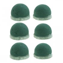 daiktų Oasis Ecobase urnos dekoracija gėlių putplasčio memorialinė floristika Ø6,5cm 6 vnt.