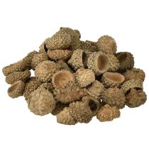 daiktų Gilių kepurėlės, natūralios dekoratyvinės gilės rankdarbiams, 1,5 cm, 200 g